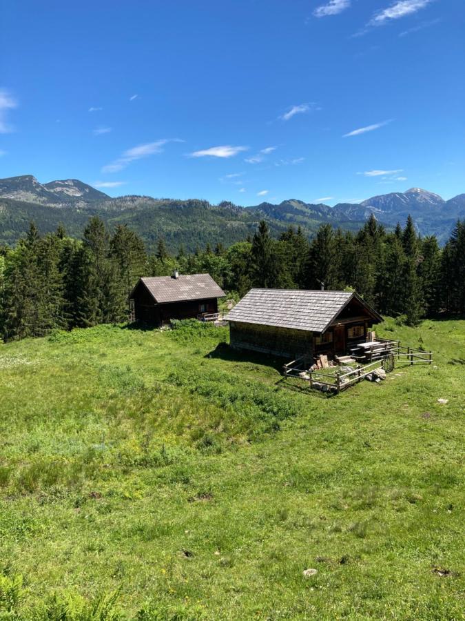 Appartement Haus Haslach *