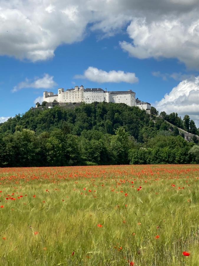Haus Haslach Appartement *