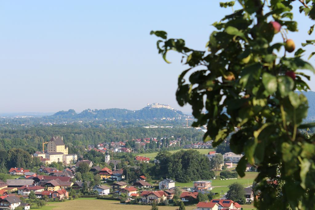 Appartement Haus Haslach *